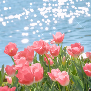 美女诱惑亚洲一区
